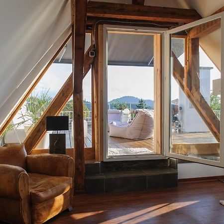 City Penthouse Mit Dachterrasse Freiburg im Breisgau Dış mekan fotoğraf