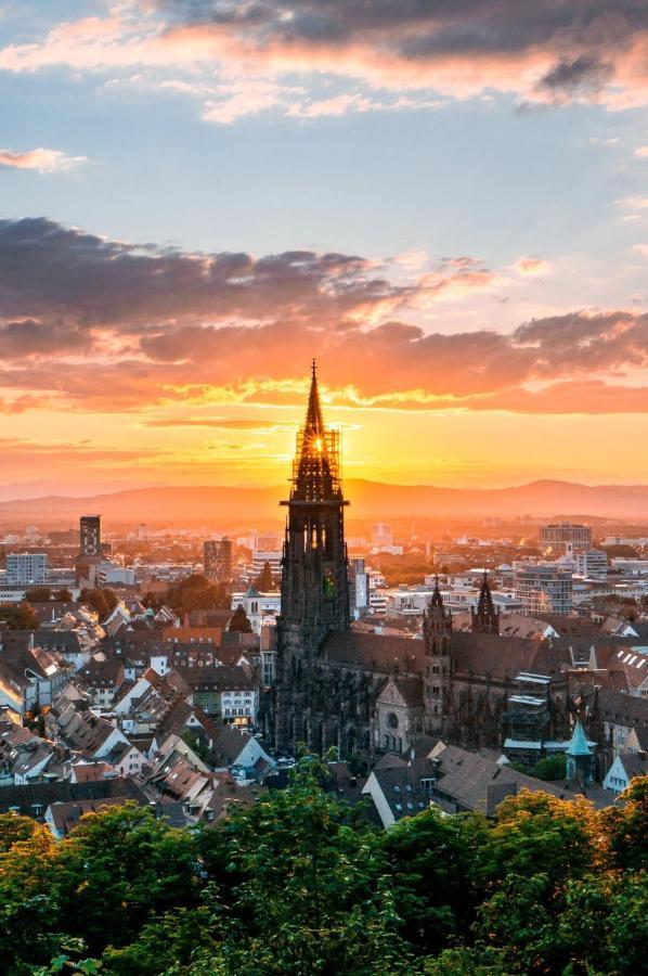 City Penthouse Mit Dachterrasse Freiburg im Breisgau Dış mekan fotoğraf