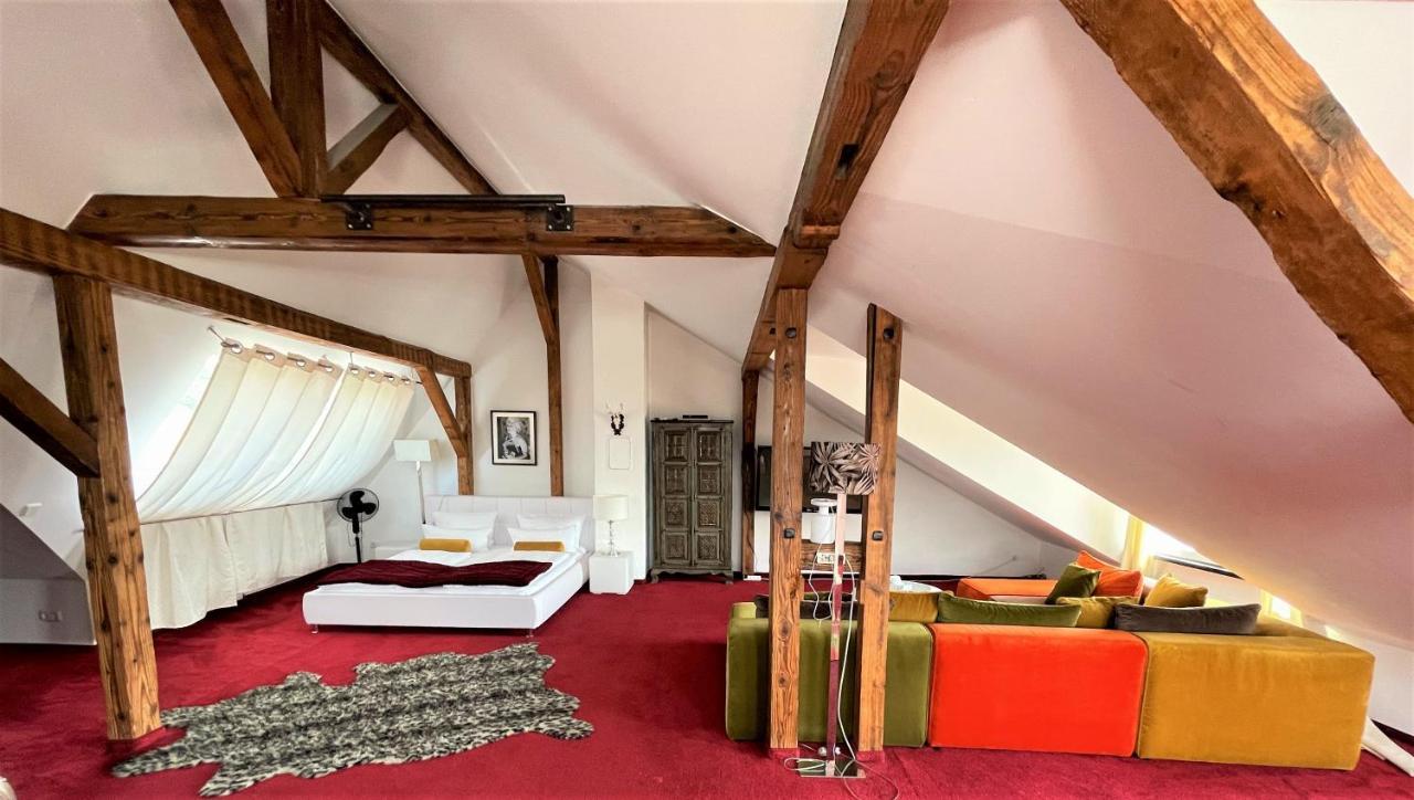 City Penthouse Mit Dachterrasse Freiburg im Breisgau Dış mekan fotoğraf