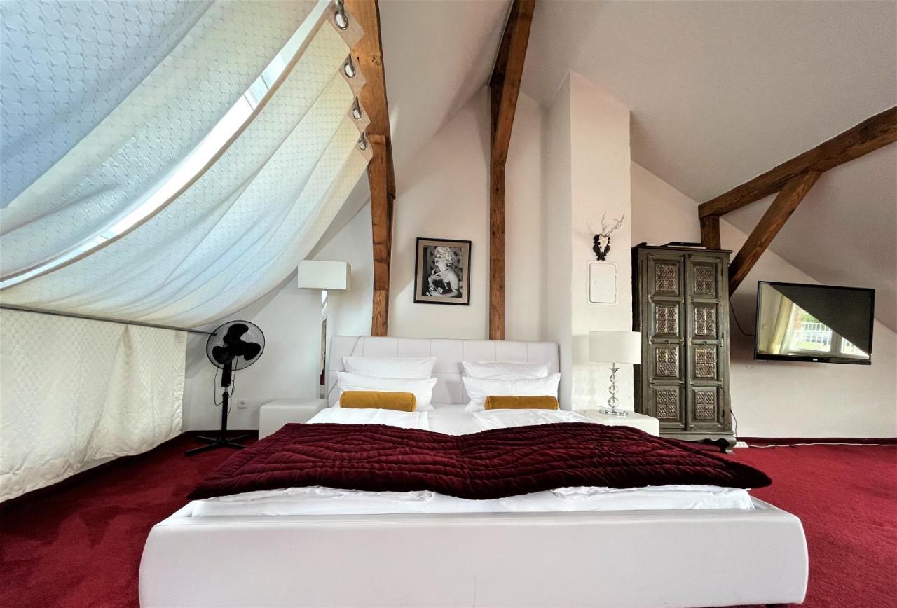 City Penthouse Mit Dachterrasse Freiburg im Breisgau Dış mekan fotoğraf